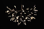 Подвесной светильник HERACLEUM II Small от Moooi
